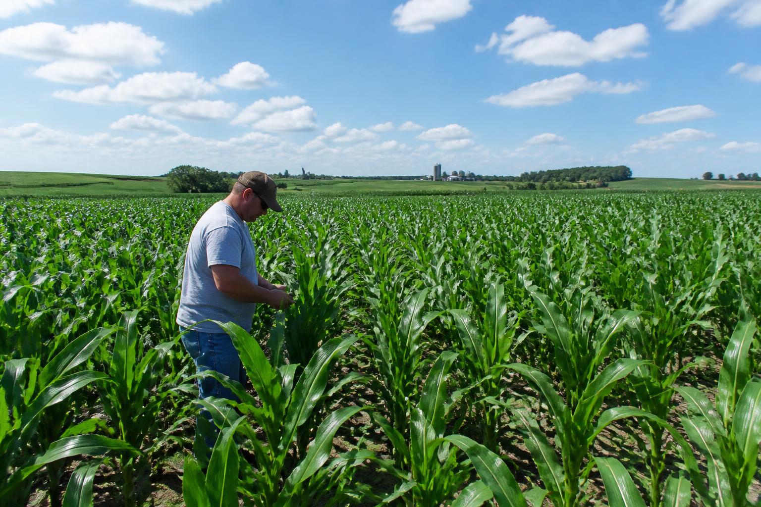 Wisconsin Ag Logistics Expand with Northern Grain Belt Ports Initiative as Climate and Dairy Rules Tighten - AgroPost