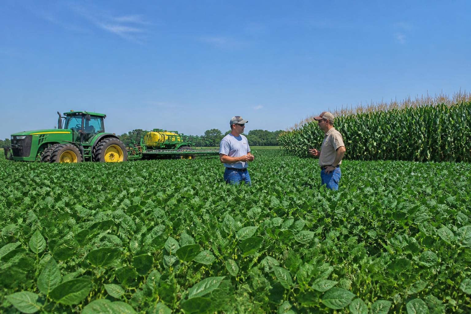 Iowa Summer Logistics: Rail Loadings Steady as Shift in Crop Mix and Input Storage Expand - AgroPost