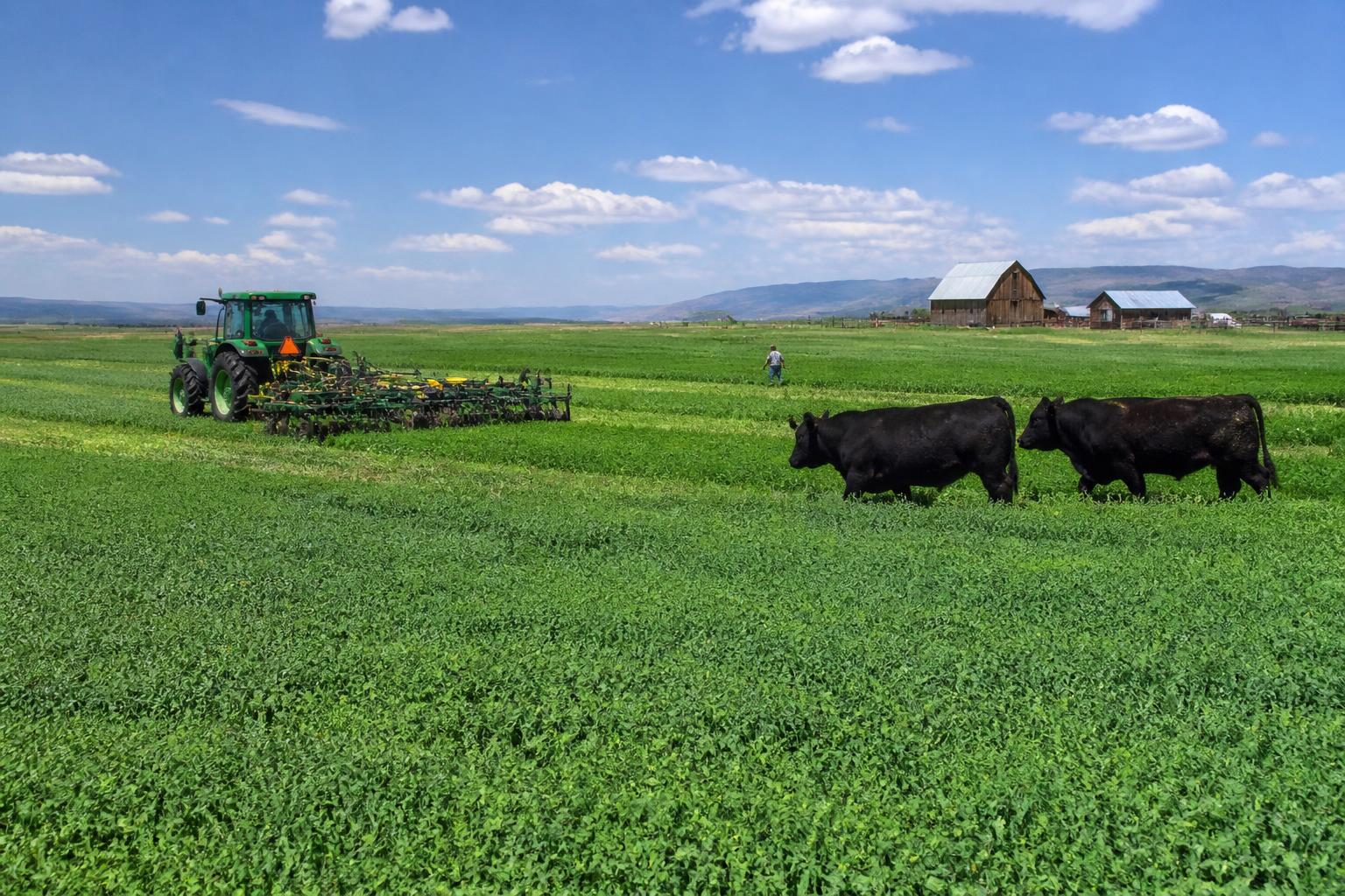 Montana Crop Protection: Balancing Innovative Pest Management and Summer Stewardship - AgroPost