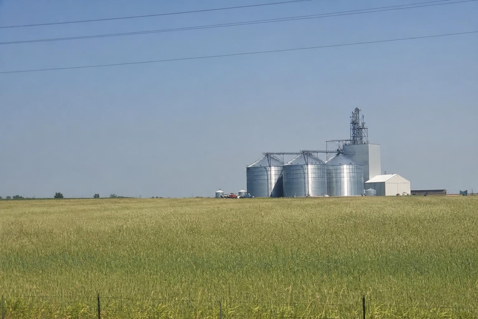 Colorado Grain Market: Trends and Opportunities Amid Supply Challenges - AgroPost