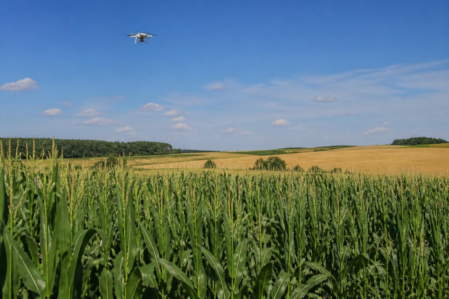 Connecticut Crop Protection: Mystic-Based Innovation and Drone Technology Drive Summer Field Management - AgroPost