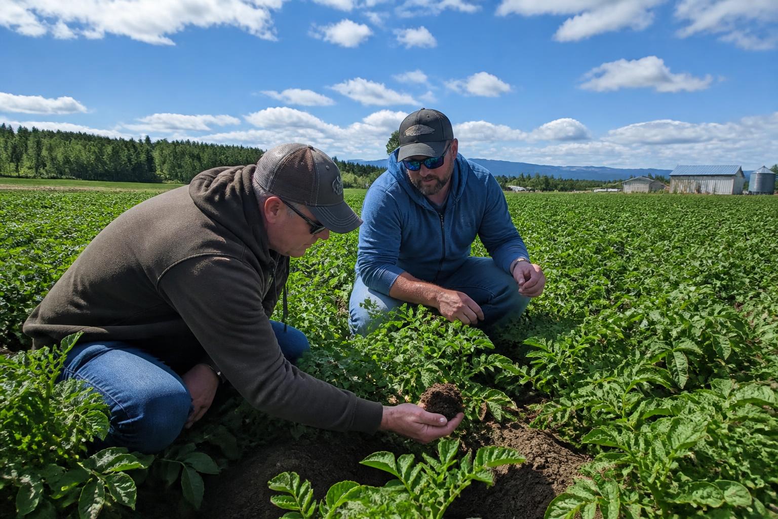 Under the Midnight Sun: Alaska Growers Focus on Soil Health and Crop Protection in Peak Summer - AgroPost