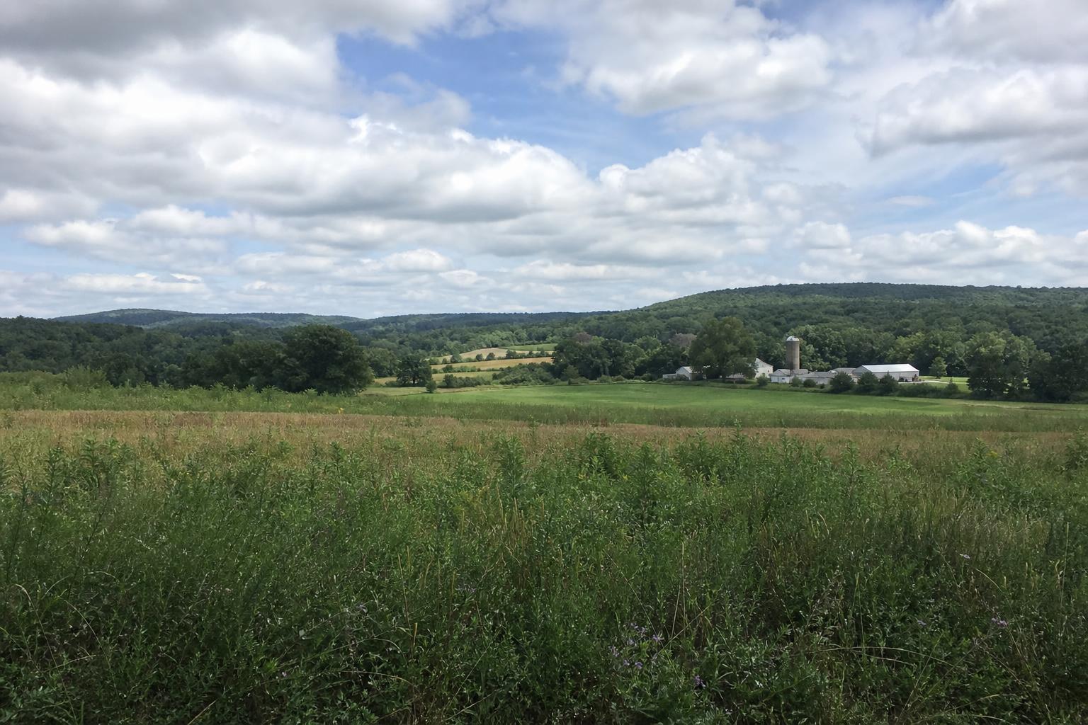 Connecticut Agriculture: Navigating Present Challenges and Future Opportunities - AgroPost