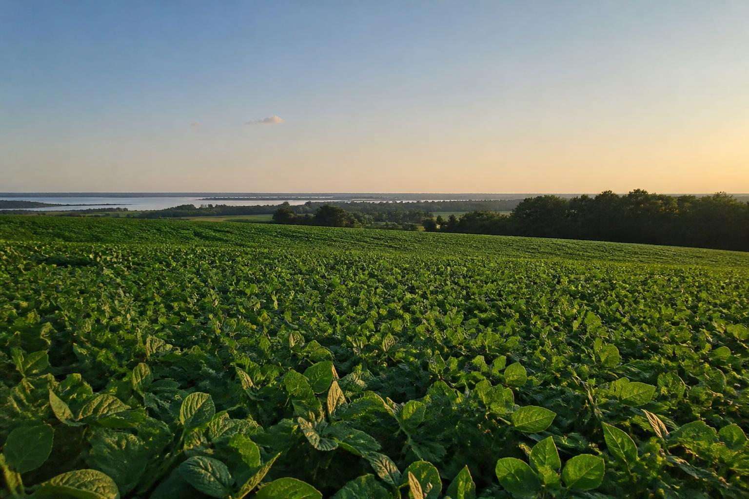 South Dakota Ag Market: Missouri River Land Deals and the Soybean Shift - AgroPost