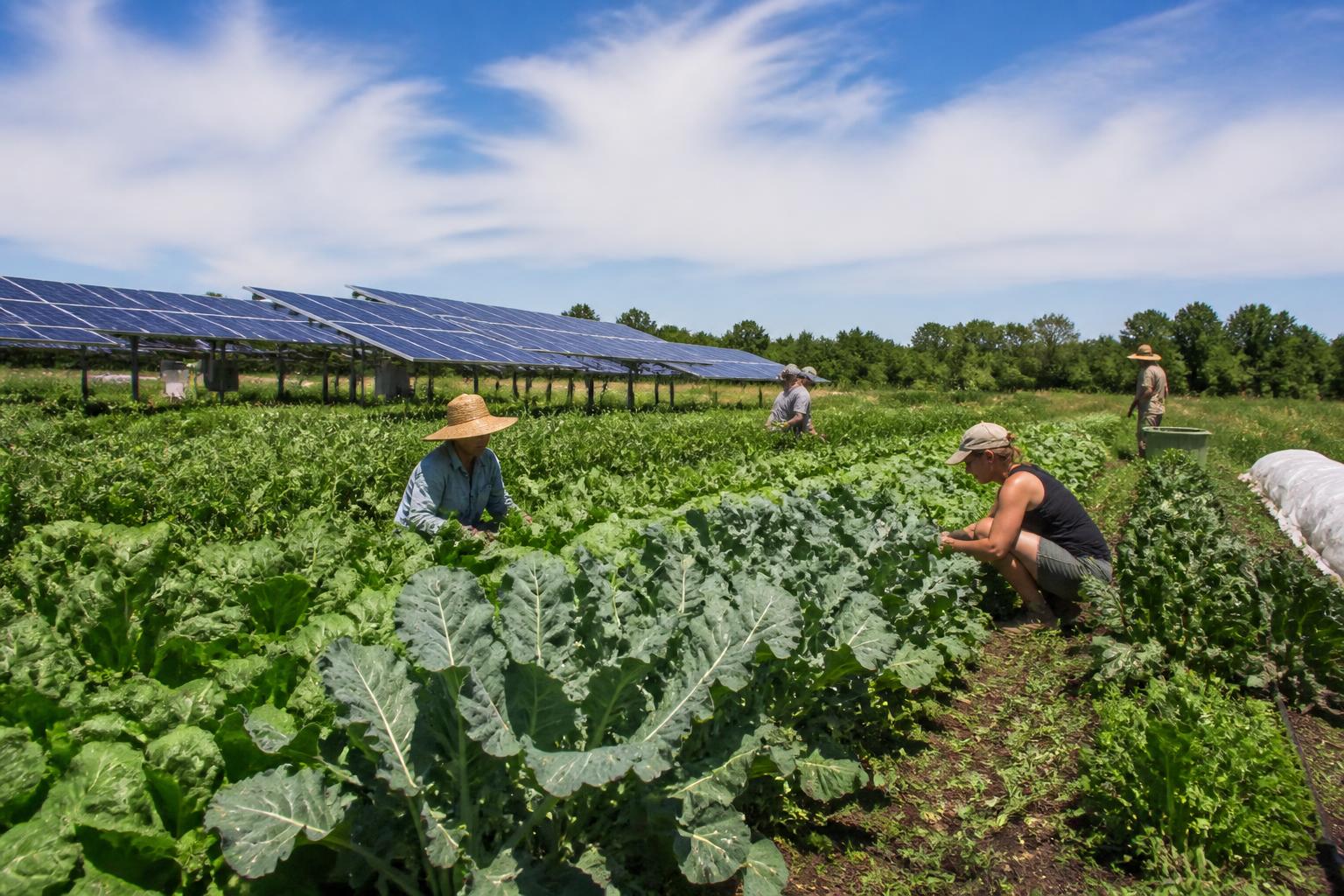 New Jersey Summer Ag Transport: Navigating Rural Roads, Warehouse Expansion, and Safety Compliance - AgroPost