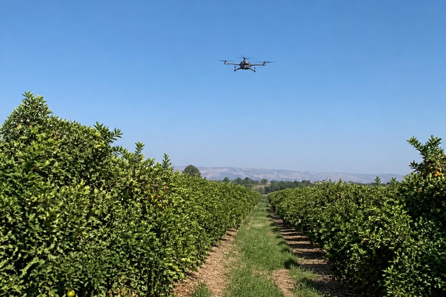 California Fertilizer Market: Navigating Import Disruptions and Rising Compliance Costs - AgroPost