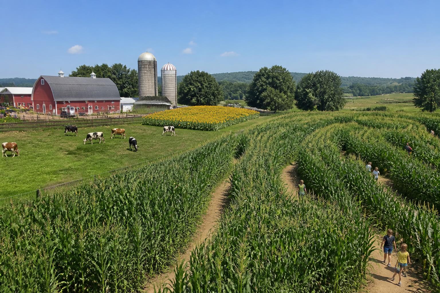 New Hampshire Farms Adapt to Rising Costs with Alternative Forages, Agritourism, and Regional Food Hubs - AgroPost