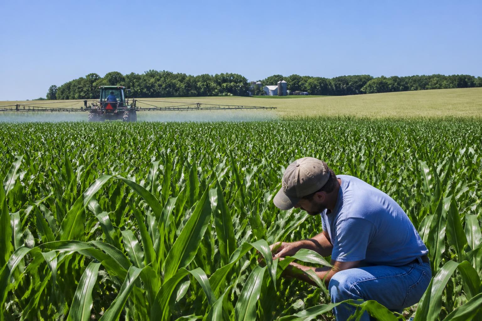 Iowa Crop Protection: Managing Drift and Disease After the Dicamba Cutoff - AgroPost