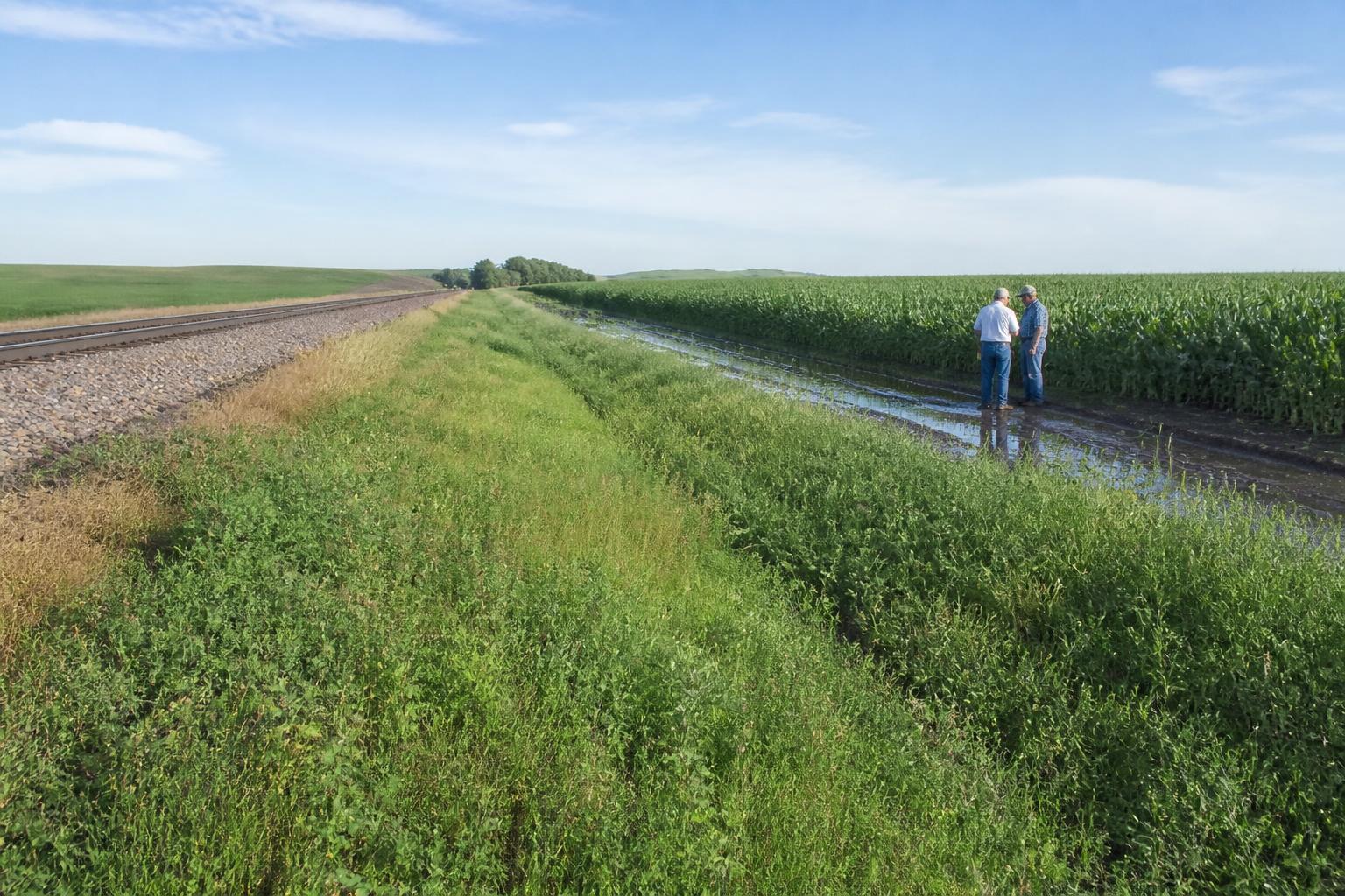 North Dakota Crop Protection: Managing Delayed Fields and Weed Pressure in Late June - AgroPost