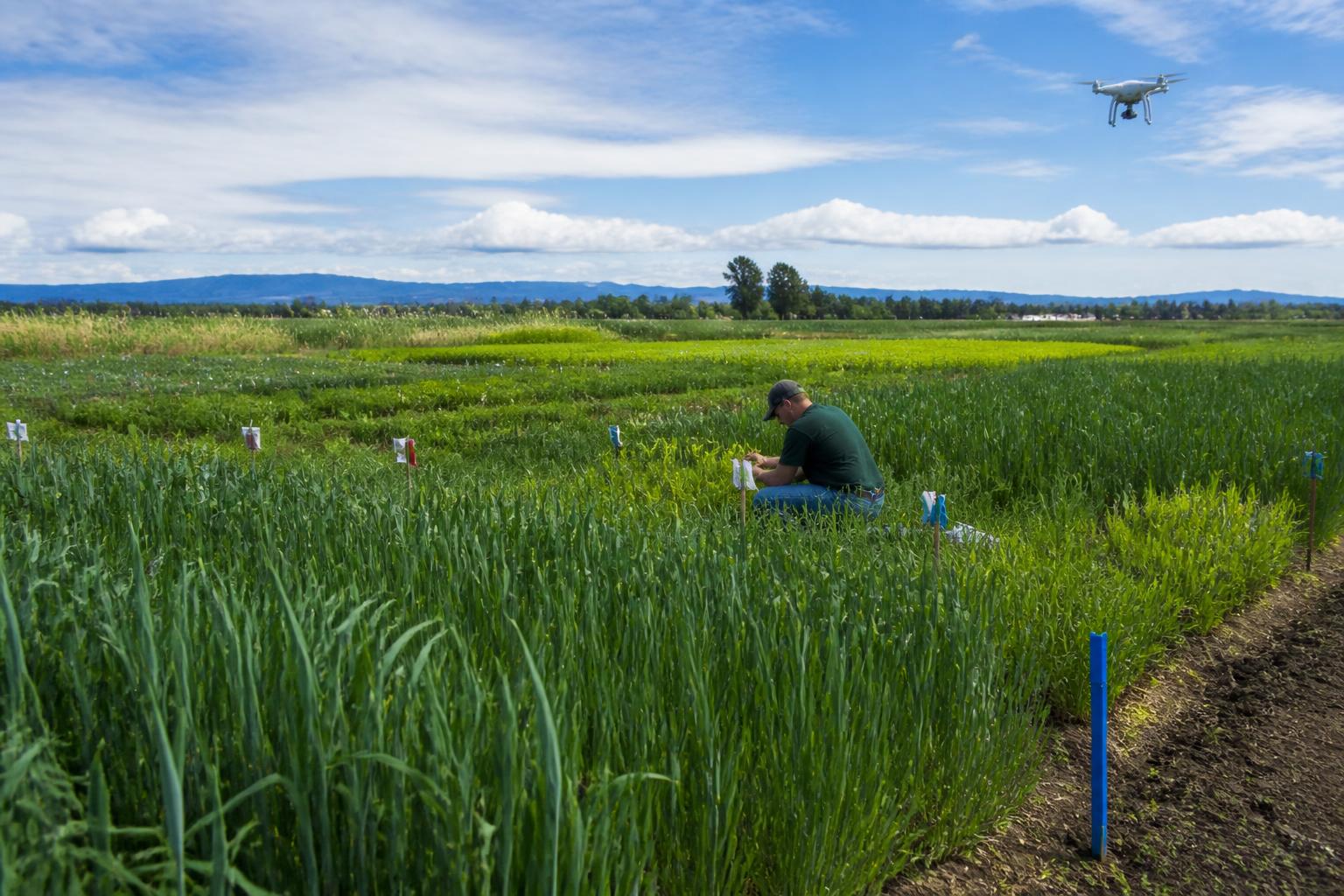 Washington Crop Protection: Invasive Pests, Research Funding, and Regenerative Shifts - AgroPost