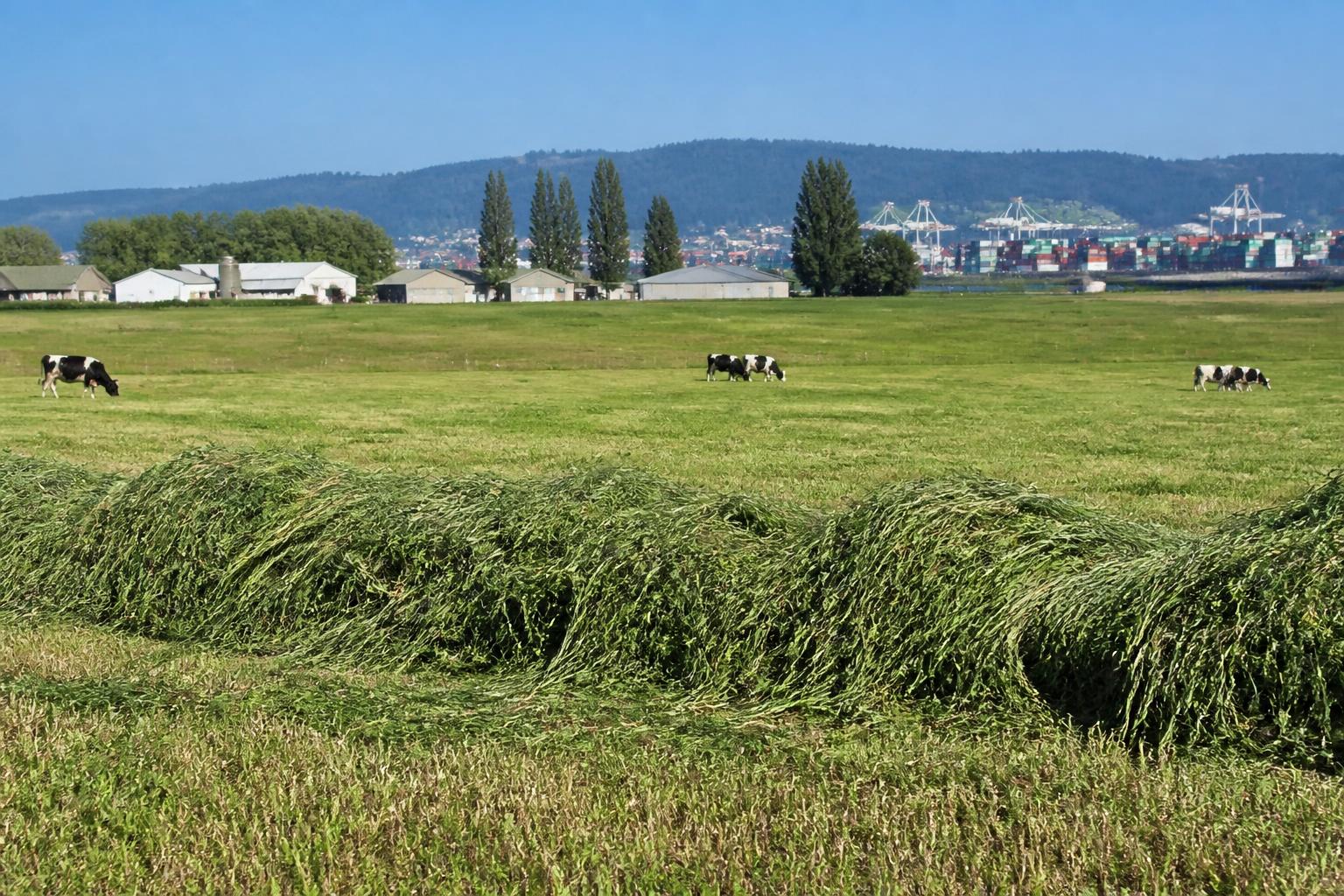 Oregon Ag Logistics: Container Services Return to Portland as Infrastructure Expands - AgroPost