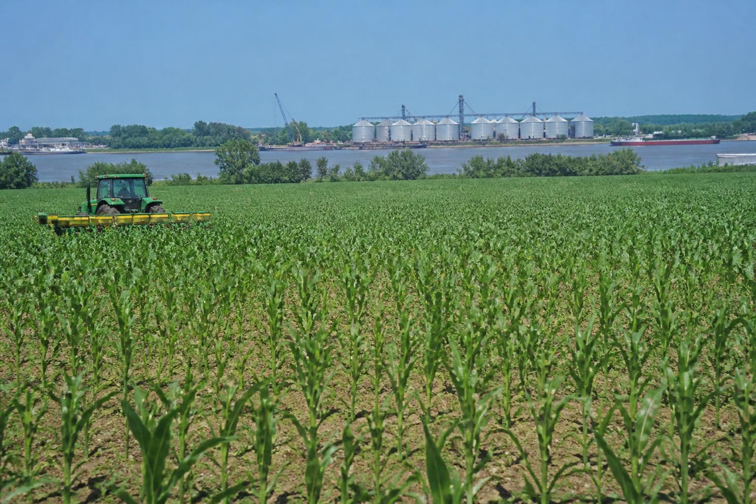 Louisiana Grain Logistics: Siltation and Mixed Gulf Bids Shape Summer Trade - AgroPost