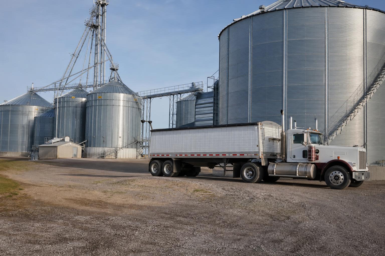 U.S. Grain Market Brief: Basis, Crop Reports and Bin Space Set the Next Selling Window - AgroPost