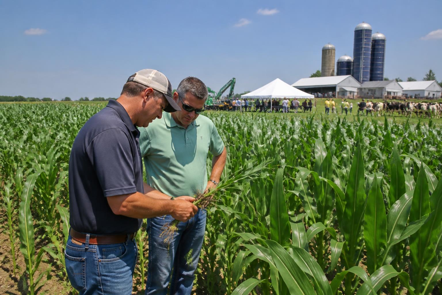 Wisconsin Grain Market Faces Dual Headwinds from Duluth-Superior Terminal Closure and Rising Rootworm Pressure - AgroPost