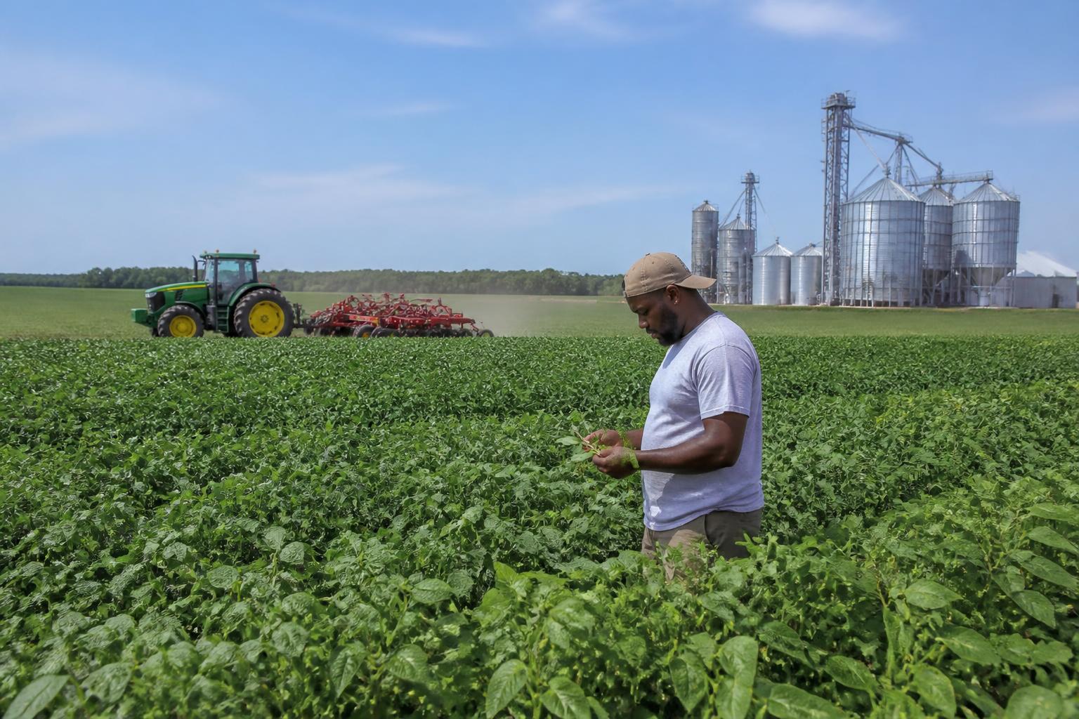 Pennsylvania Agribusiness Navigates State Economic Shifts and Global Supply Chain Hurdles - AgroPost