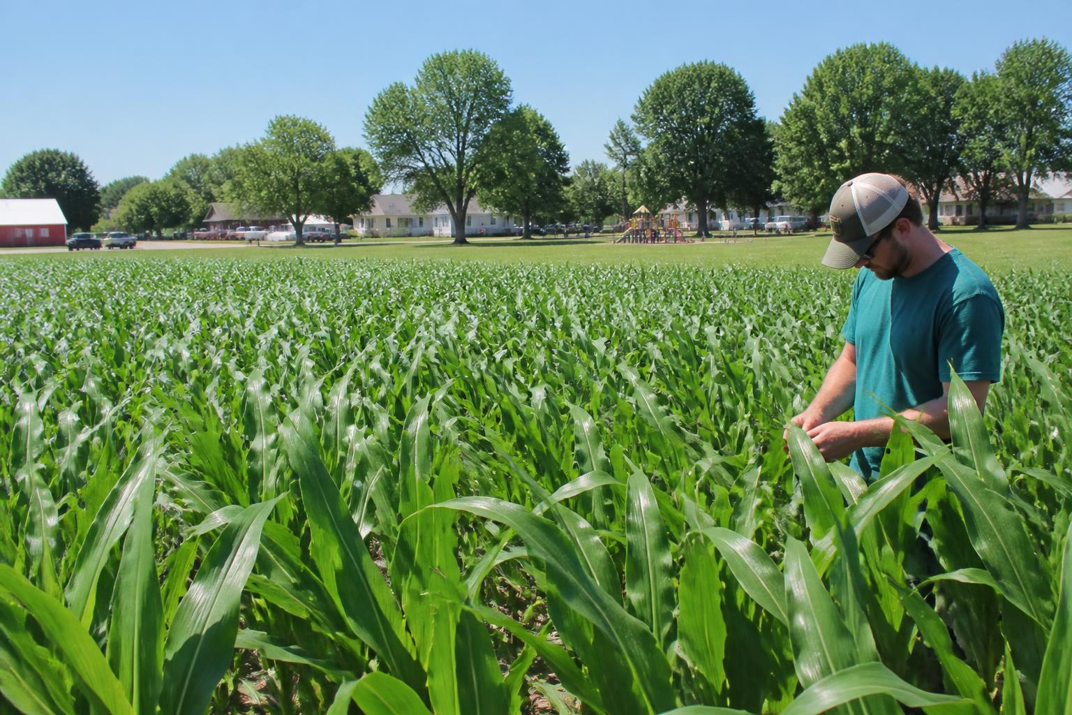 Nebraska Summer Ag Transport: Shippers Focus on Cost-Saving Strategies and Infrastructure Alignments