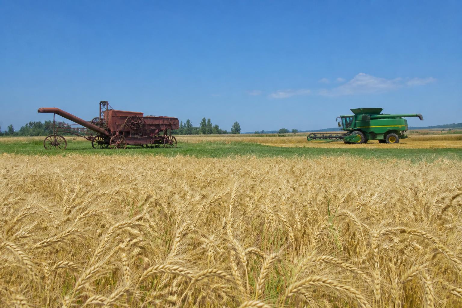 California Grain Market: Managing Summer Harvest Logistics, Input Fluctuations, and Tech Innovations - AgroPost