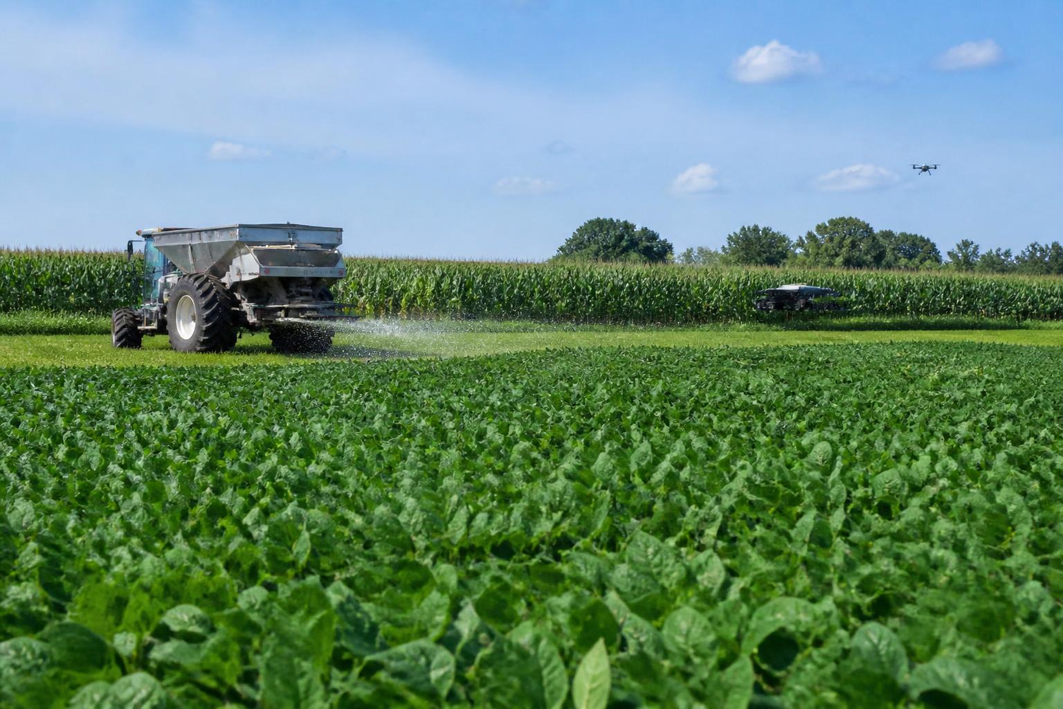 Ohio Summer Grain Logistics: Balancing Transport Costs Amid Falling Market Prices