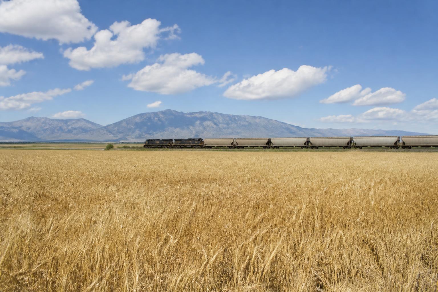 Washington Ag Market Brief: Tariff Relief and EPA Approvals Ease Summer Input Pressures - AgroPost