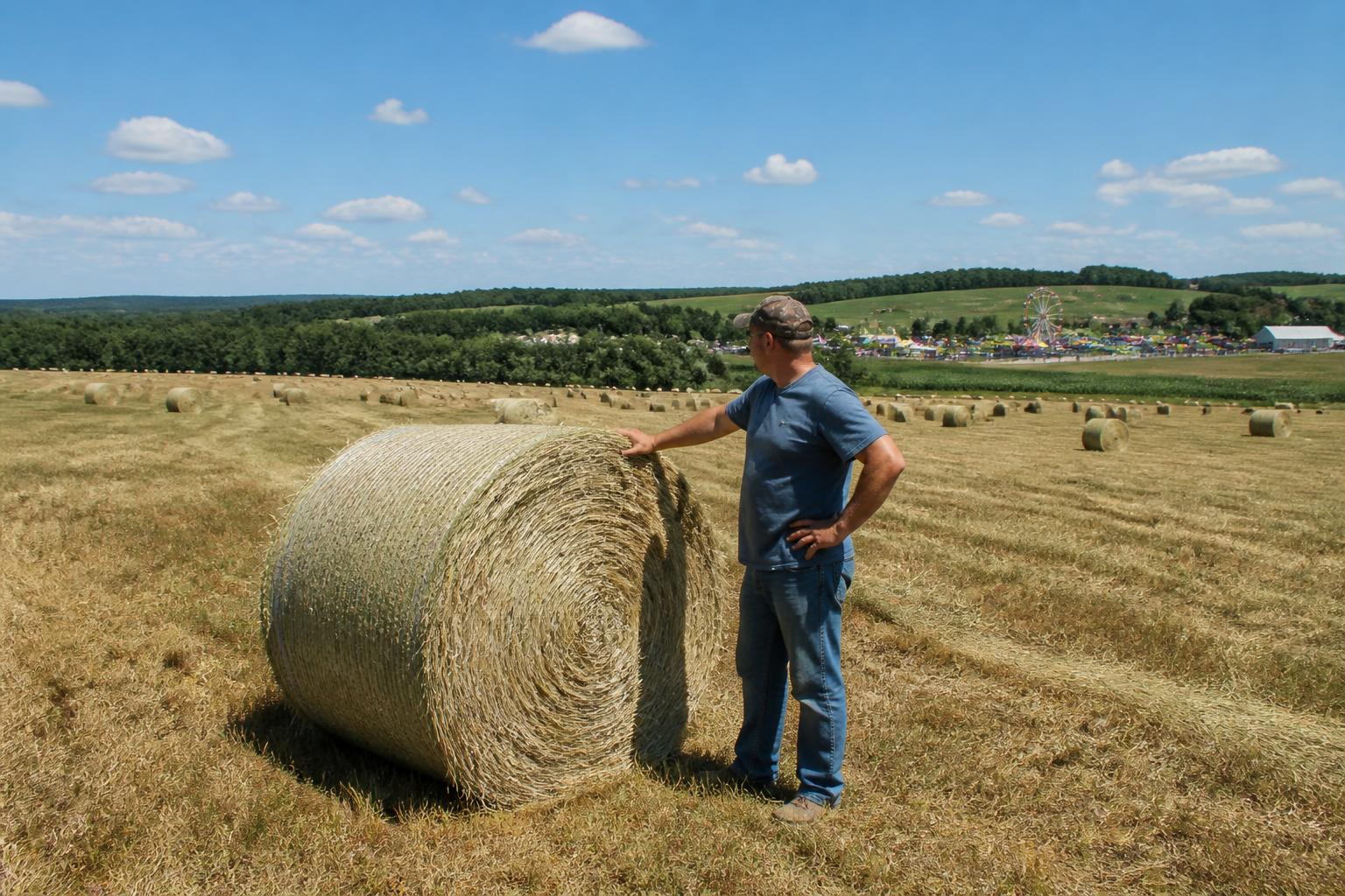 Maryland Summer Grain Balance: Navigating Cereal Rye Forage and Local State Programs