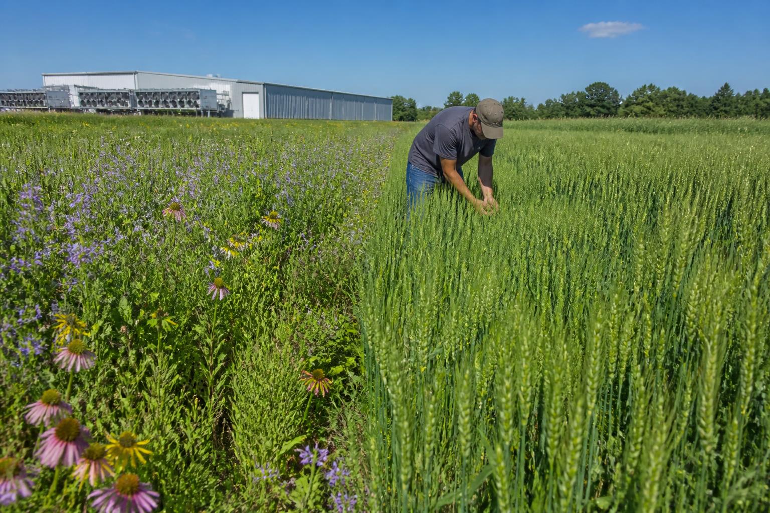 Utah Grain Operations Navigate Tighter Summer Credit and Shift Toward Conservation