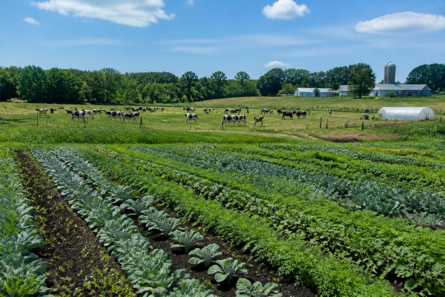 Connecticut Farmland and Financial Protection: Key Conservation and Policy Shifts in July 2026