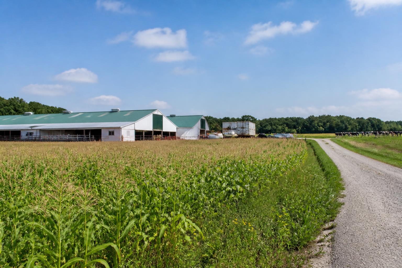 Rhode Island Grain and Feed Market: Summer Pressures, Land Debates, and Climate Mandates