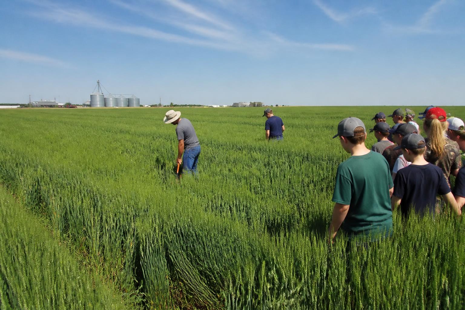 Missouri Nutrient Management: Balancing Yield Demands with Fertilizer Efficiency