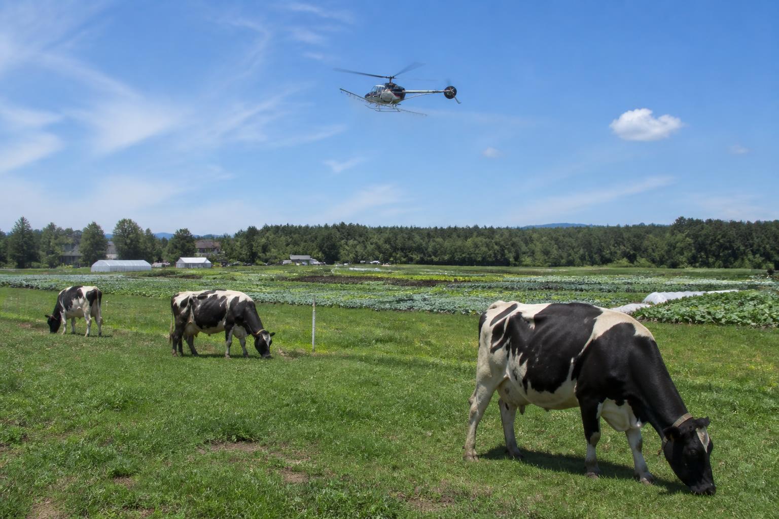 Protecting New Hampshire Farmland: From Legislative PFAS Action to High-Tech Crop Defense