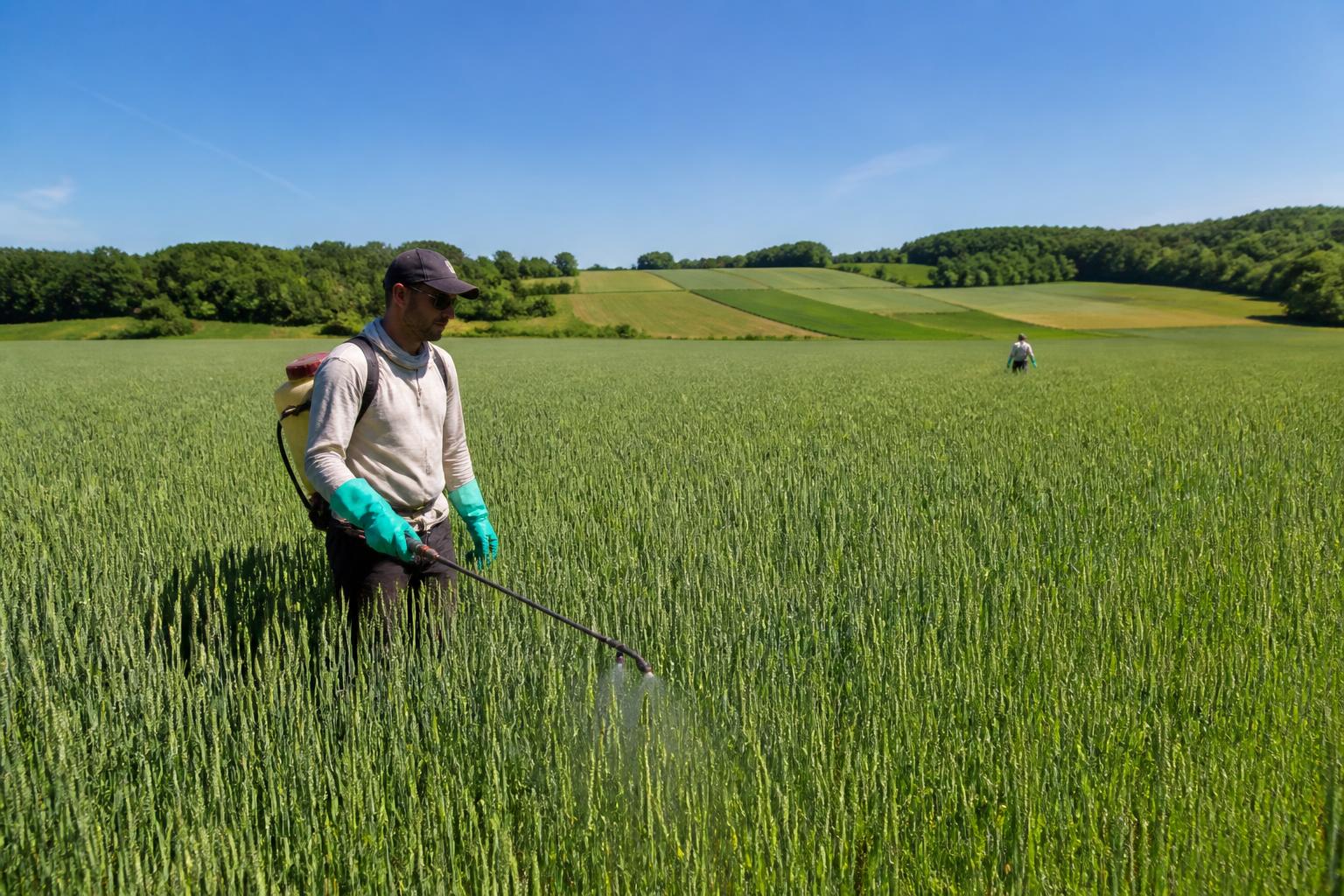 Summer Crop Protection Strategies Drive Yield Resilience in Maine Agriculture - AgroPost