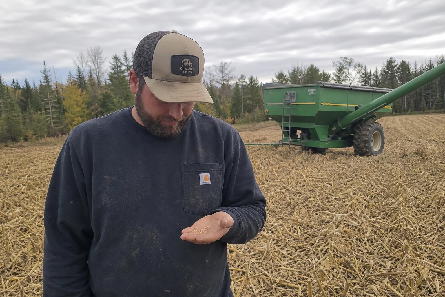 Maine’s Growing Grain Economy: Opportunities and Challenges - AgroPost