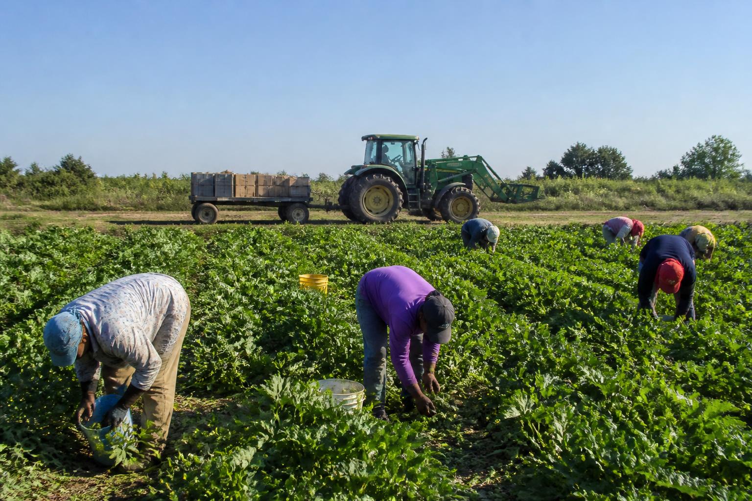 New Jersey Summer Ag Update: Land Preservation Milestones, Labor Debates, and Logistics Focus - AgroPost