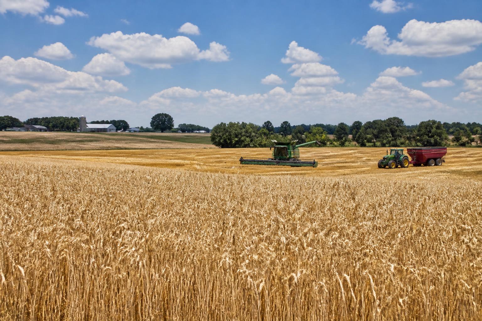 Texas Ag Logistics and Input Pressures: Navigating High Fertilizer Costs and Summer Supply Chains - AgroPost