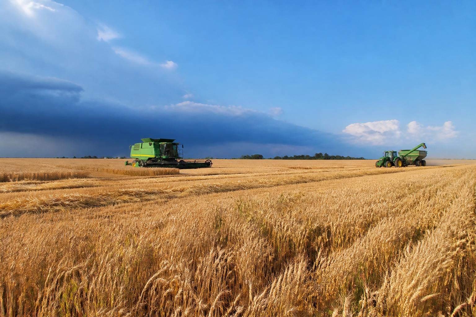 Alabama Grain Markets: Navigating Global Energy Volatility and Trade Disruption - AgroPost