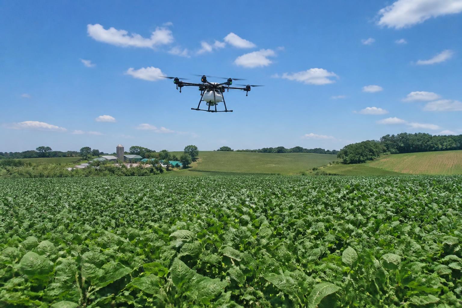 Arkansas Mid-Summer Market Review: Soybean Potentials, Evolving Regulations, and Input Adjustments - AgroPost