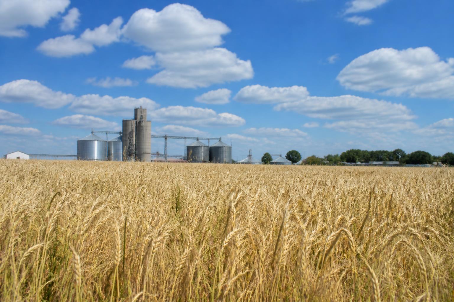 South Dakota Grain Logistics: Navigating the Shift in Elevator Infrastructure - AgroPost