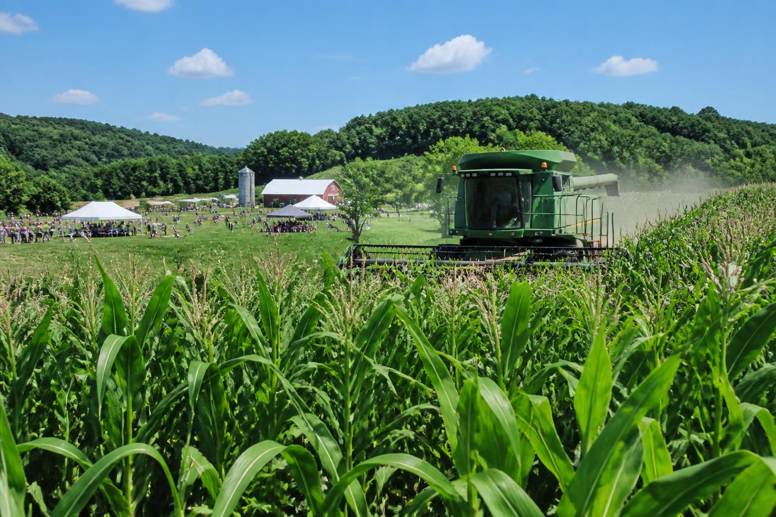 Navigating Transport Volatility: A Pennsylvania Grain Outlook - AgroPost