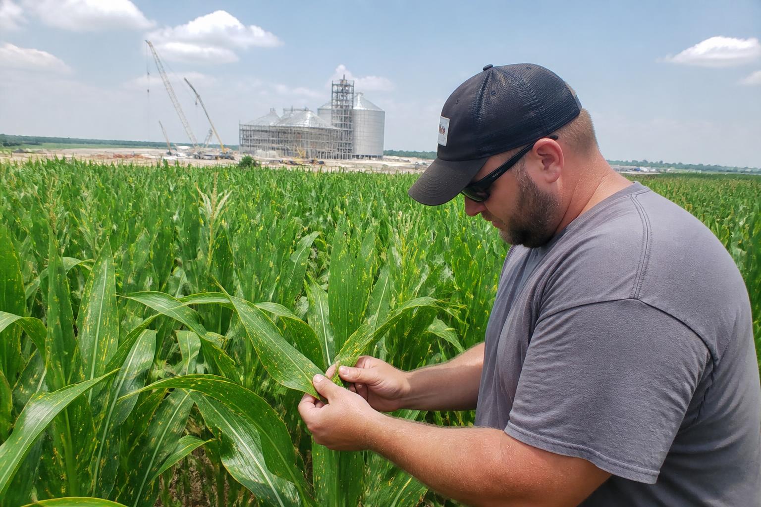 Indiana Infrastructure Shifts: New Grain Handling and Logistics Capacity - AgroPost