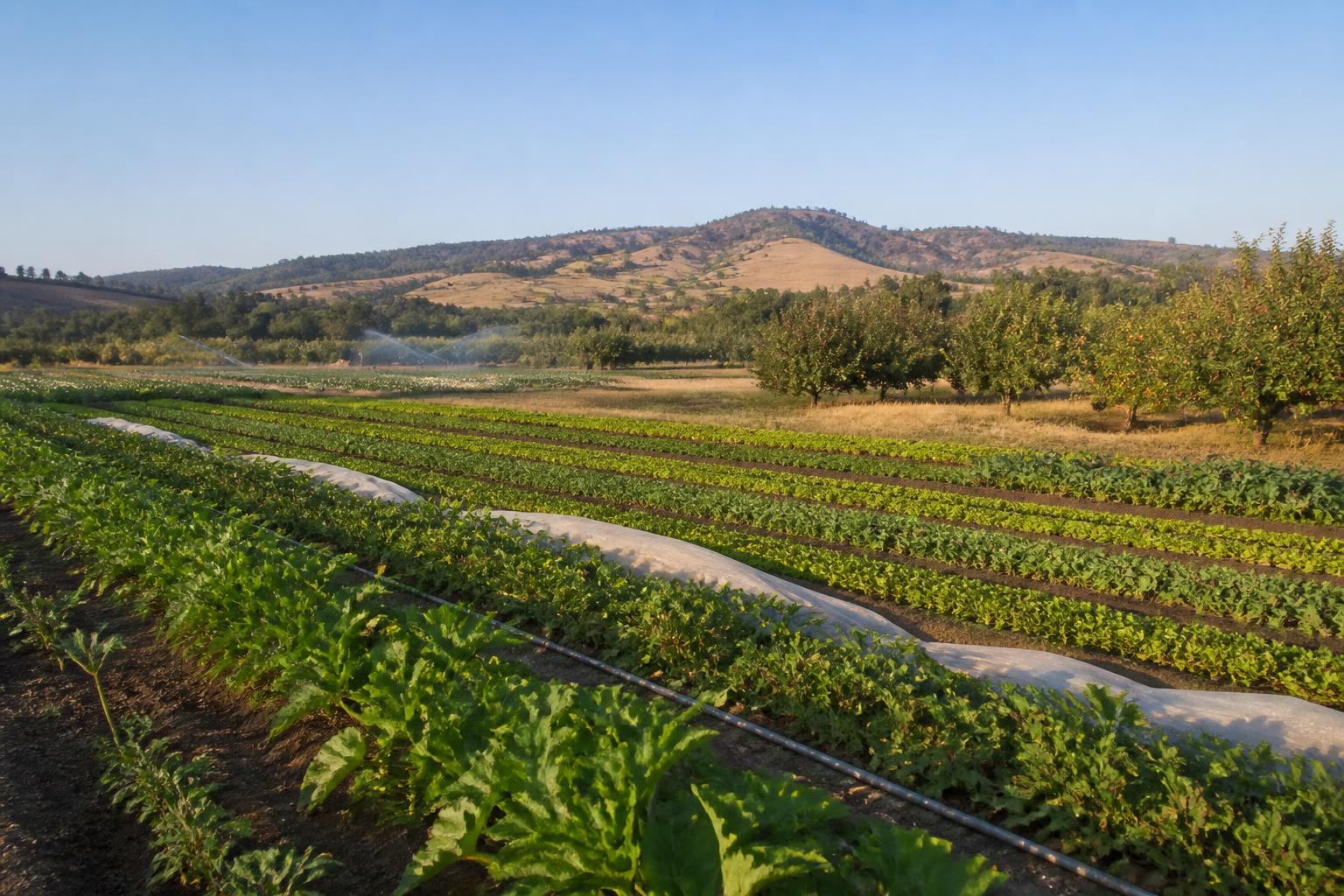 Utah Producers Eye New Biofertility Tools Amid Challenging Growing Conditions - AgroPost