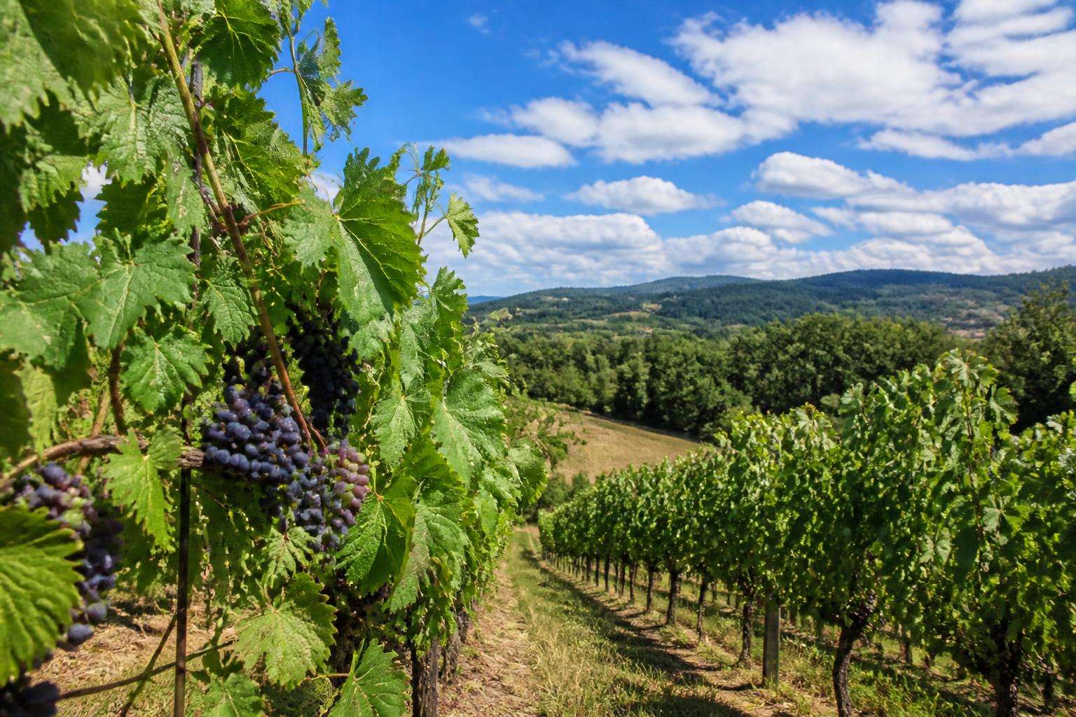 Oregon Agriculture Logistics: Navigating Shifts in Trade and Infrastructure - AgroPost