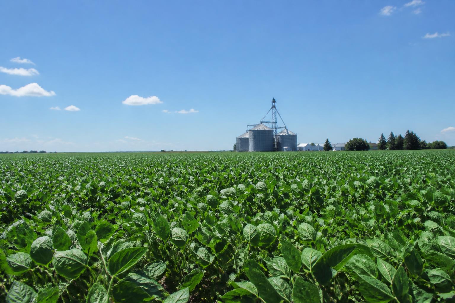 North Dakota Grain Handling Consolidation and Infrastructure Outlook - AgroPost