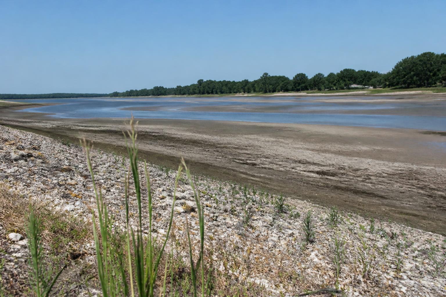 Mississippi Delta Logistics Update: Managing River Transit and Grain Storage Realities - AgroPost