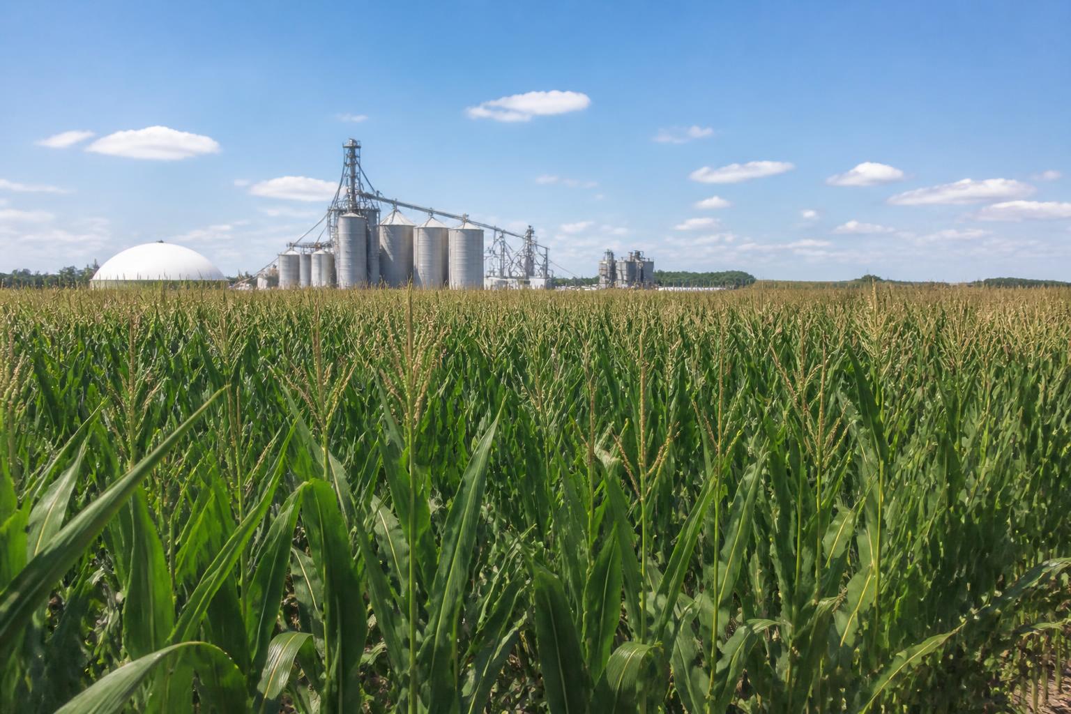 Ohio Fertilizer Supply Outlook: Manufacturing Shifts and Duty Relief - AgroPost