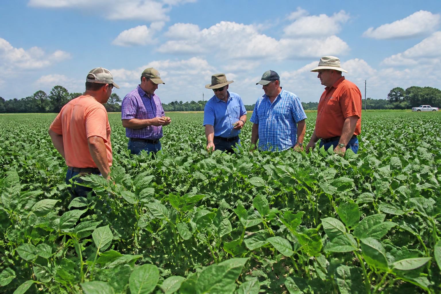 South Carolina Ag Logistics: Managing Perishable Flow and Distribution Shifts - AgroPost