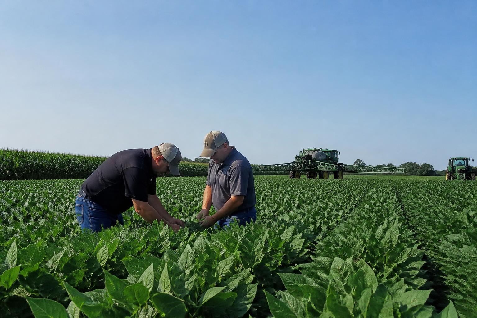 Missouri Ag Logistics: Mid-Summer Infrastructure and Supply Chain Outlook - AgroPost