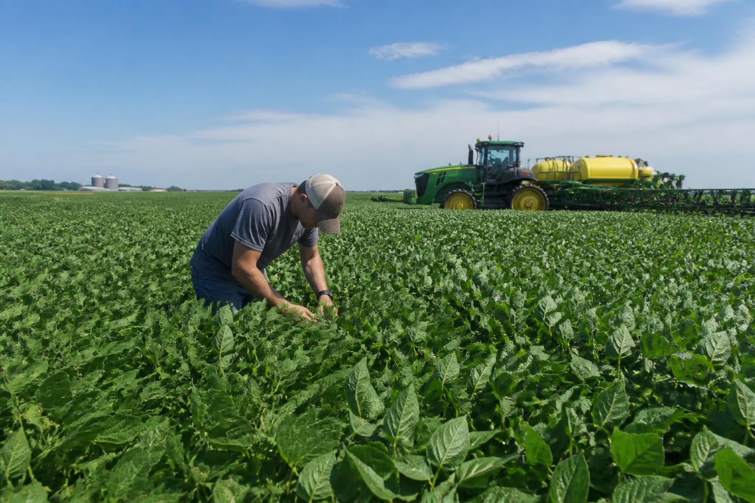 Illinois Crop Protection: Balancing Input Budgets and Evolving Management Needs - AgroPost