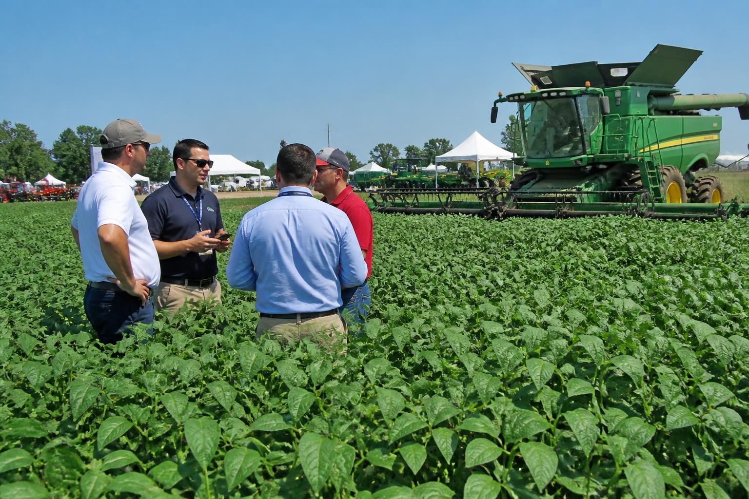 Kentucky Input Markets: Navigating Fertilizer Volatility and Logistics Shifts - AgroPost