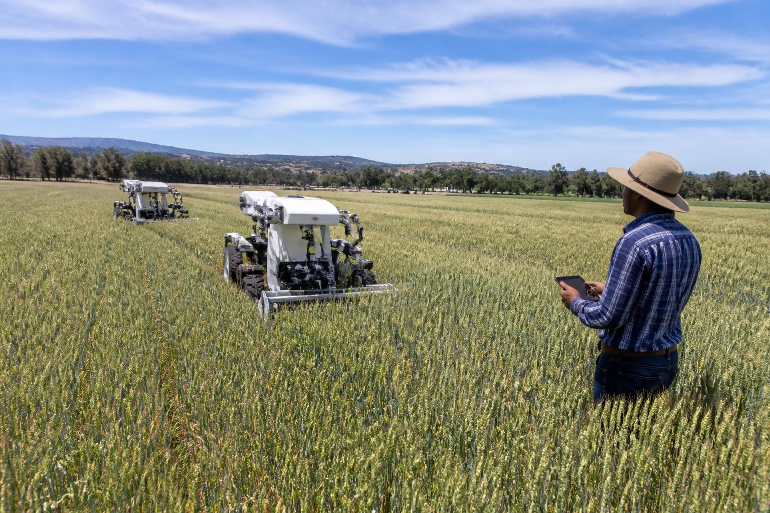 Arizona Ag Logistics: Facing Heat and Labor Constraints in the Summer Cycle - AgroPost