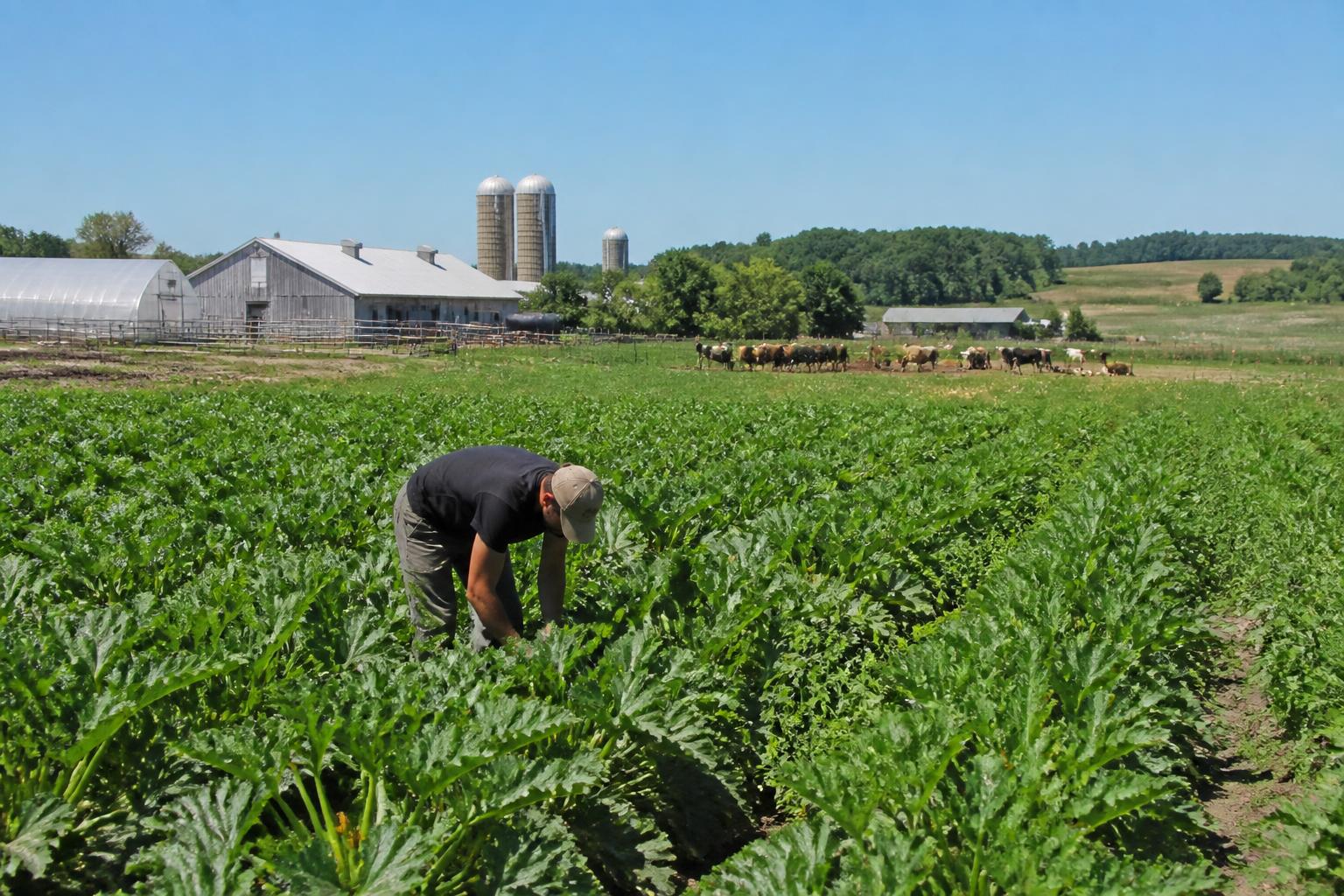 Colorado Fertilizer Outlook: Navigating Price Volatility and Resource Management - AgroPost