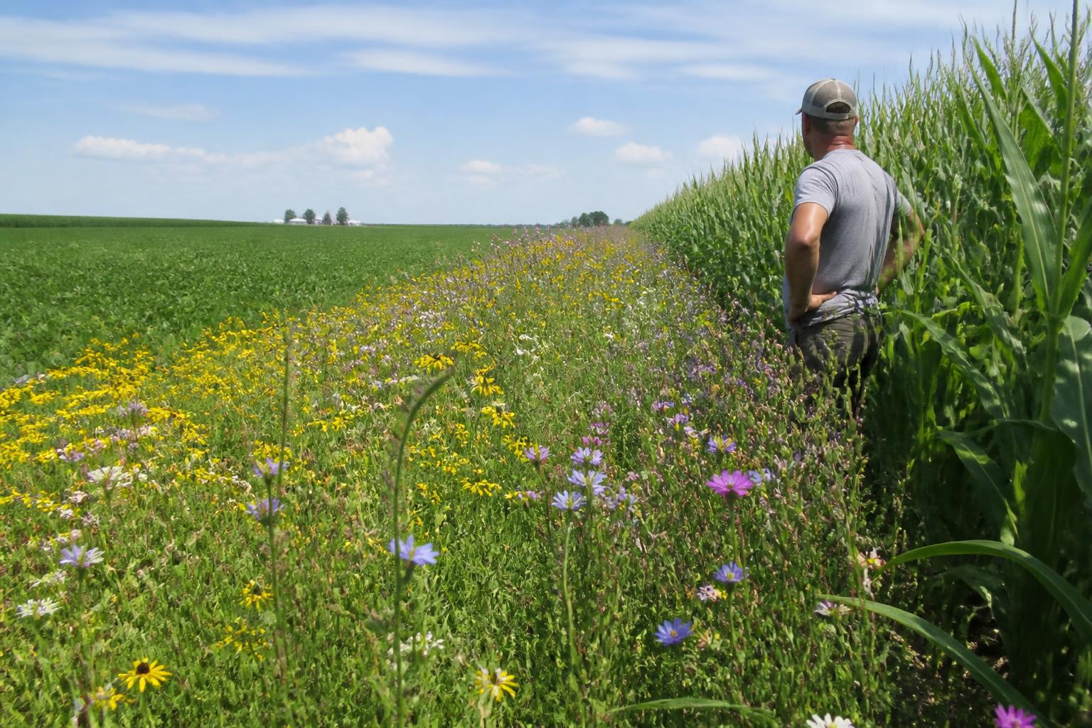 Navigating Montana Crop Protection Amid Evolving Pest Pressures - AgroPost